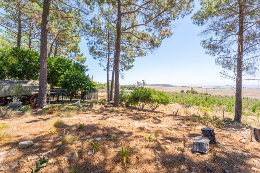3 Bedroom Property for Sale in Napier Western Cape